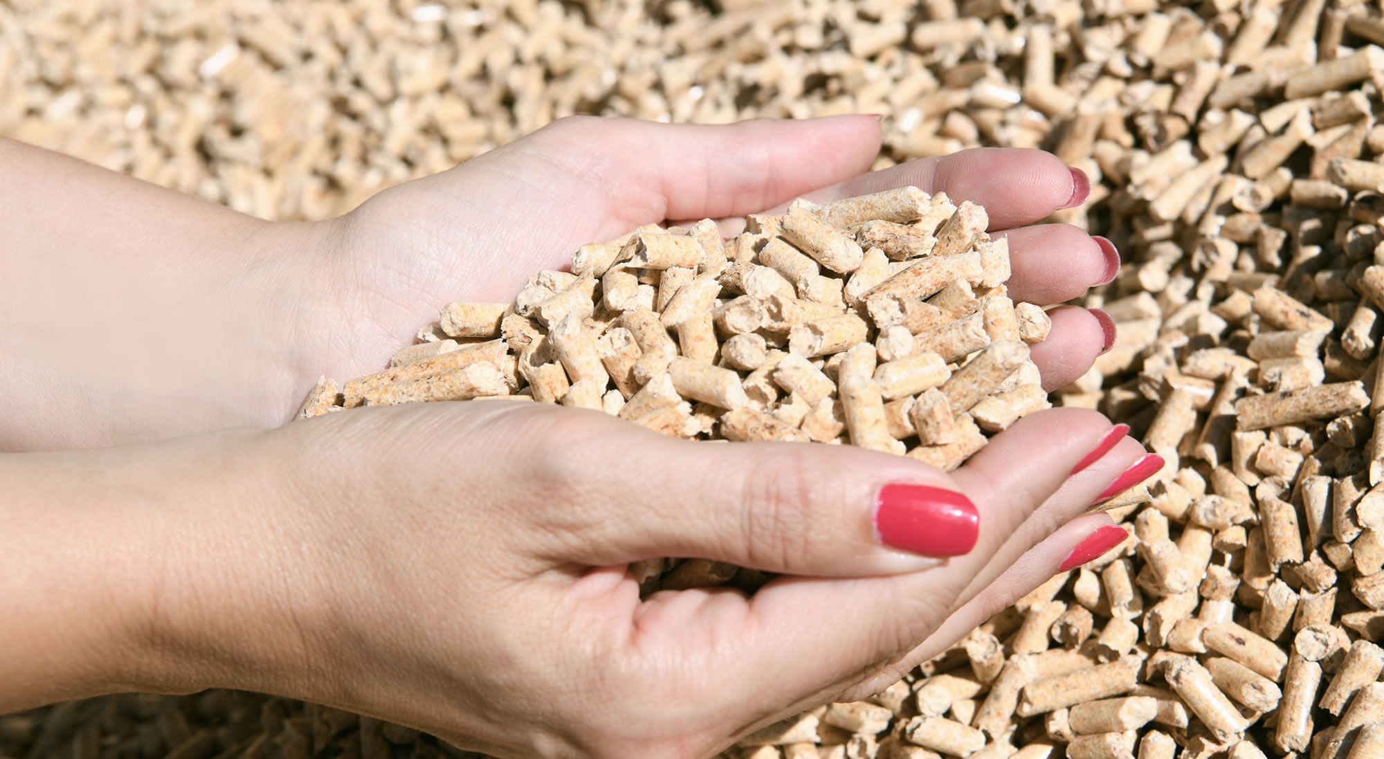Pellets kaufen aus dem Werk Abtenau, Österreich